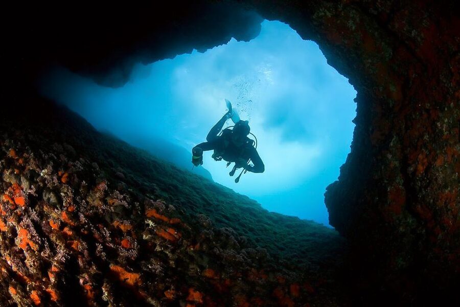 Scuba Diving in Dubrovnik: 1 Dive for Certified Divers - Reefs, caves, caverns, and shipwrecks: how variety changes what you notice