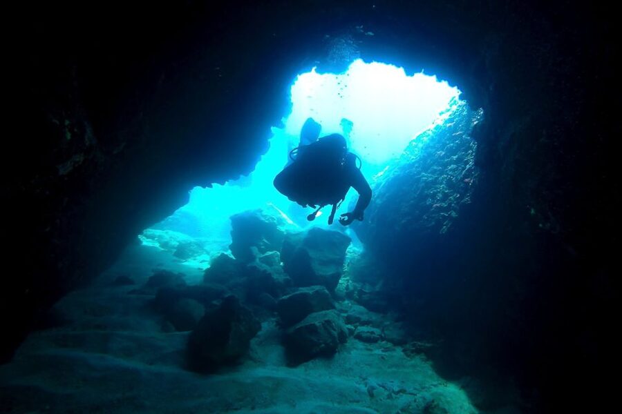 Scuba Diving in Dubrovnik: 1 Dive for Certified Divers - Guides and briefing quality: why Vlamo gets praised