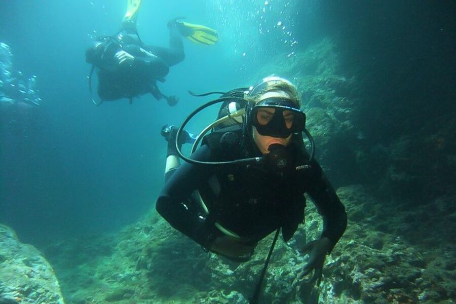 Scuba Diving in Dubrovnik: 1 Dive for Certified Divers - Price and value: is $94 fair for this kind of session?