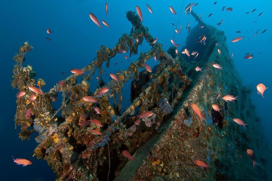 Scuba Diving in Dubrovnik: 1 Dive for Certified Divers - Meeting Blue Planet at Dubrovnik Palace, without the guessing game