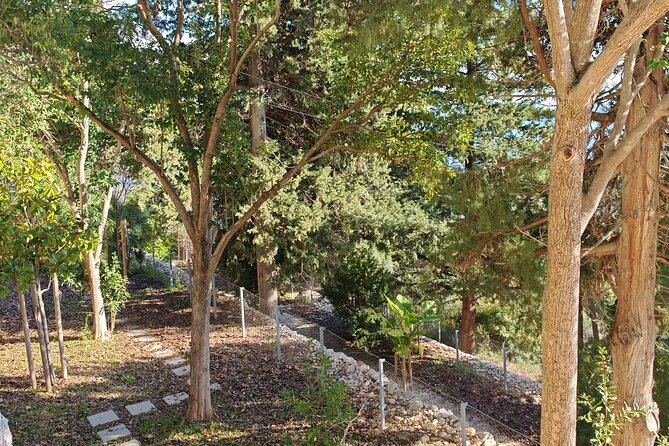 Secret Marjan Park Hiking Tour in Split - Small-group size you can feel in the rhythm