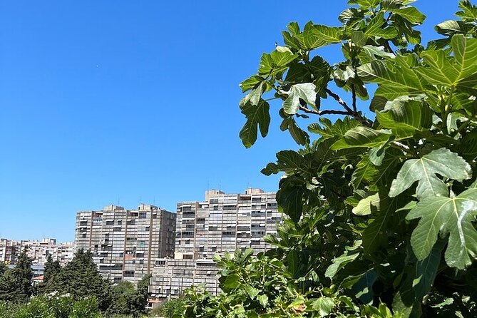 Secret Split: Socialist Architecture & brutalism - Urban Utopia - Why Split 3 matters more than Split’s Roman core