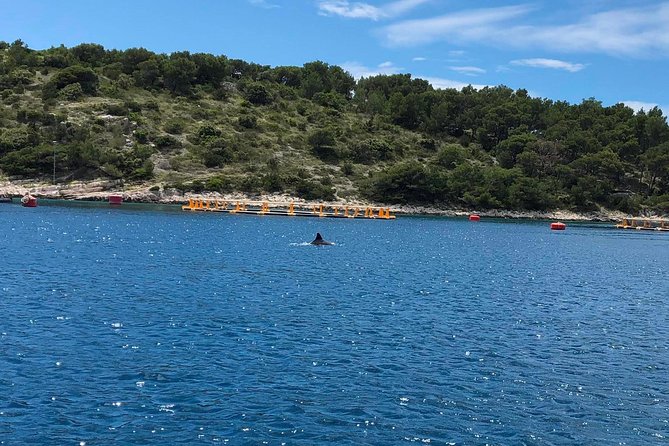 Secrets of Brac and Solta - Off the Beaten Track Croatia - Stomorska lunch at Restoran Turanj: plan your budget