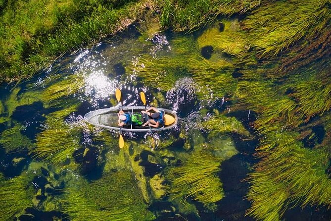 See through kayaks on Gacka river - Wildlife and underwater life you can actually spot