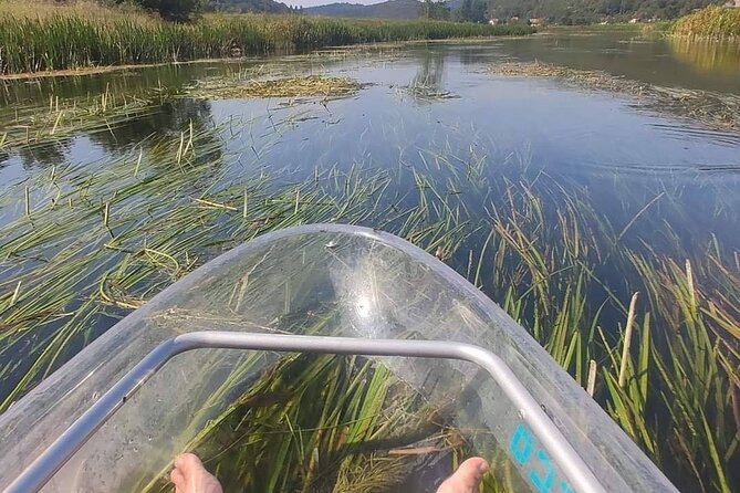 See through kayaks on Gacka river - The sun factor: plan for shade gaps