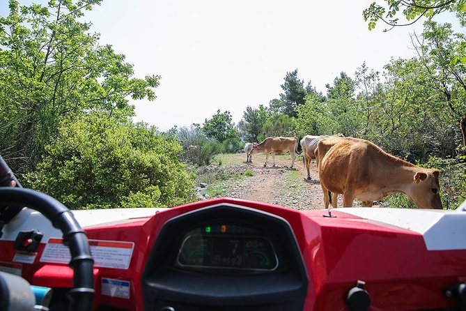 Self-drive Off Road Buggy - Getting there from Dubrovnik: timing and transport tips