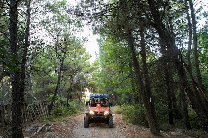 Self-drive Off Road Buggy - The driving thrill: who will love it most