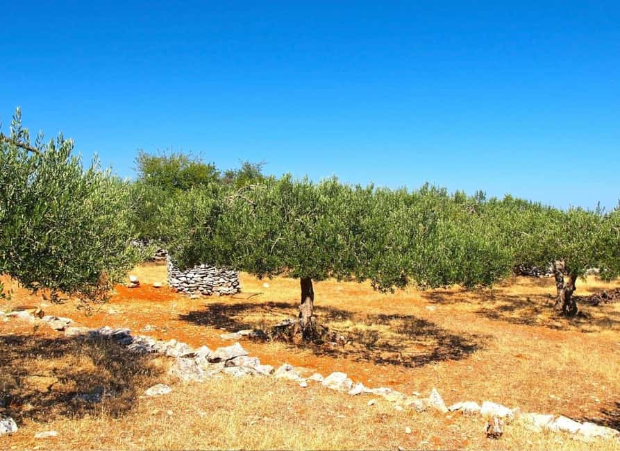 Sibenik: Stunning views, History & Tasting - Croatia in day - Kaštel Benković and the Story of a Strategic Crossroad