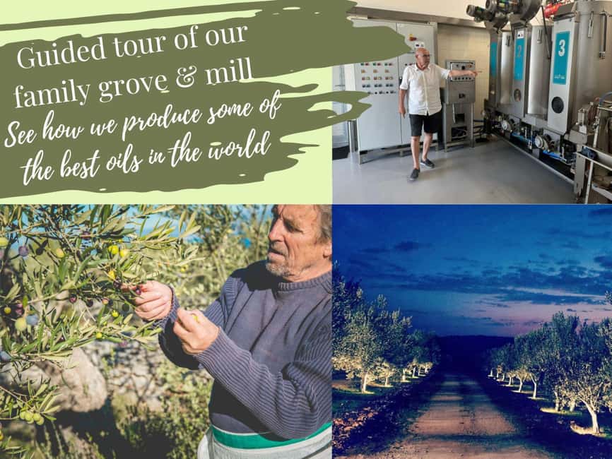 Sibenik: Stunning views, History & Tasting - Croatia in day - Lepuri Olive Grove and Mill, Where the Tasting Becomes Real