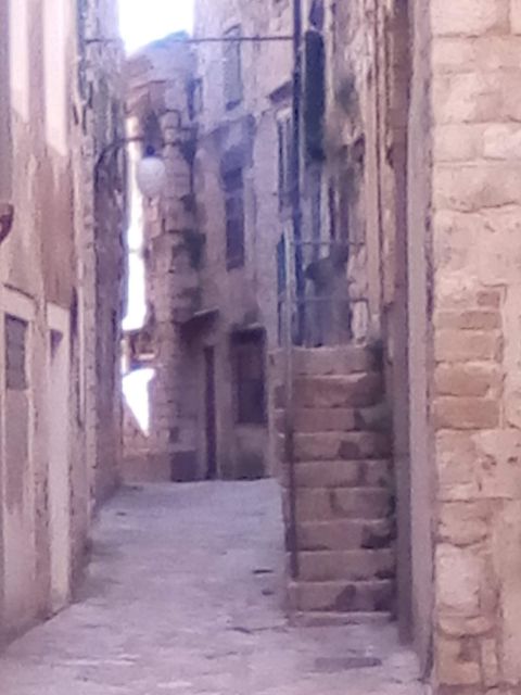 Šibenik walking tour in one hour! - Should You Book This One-Hour Šibenik Walk?