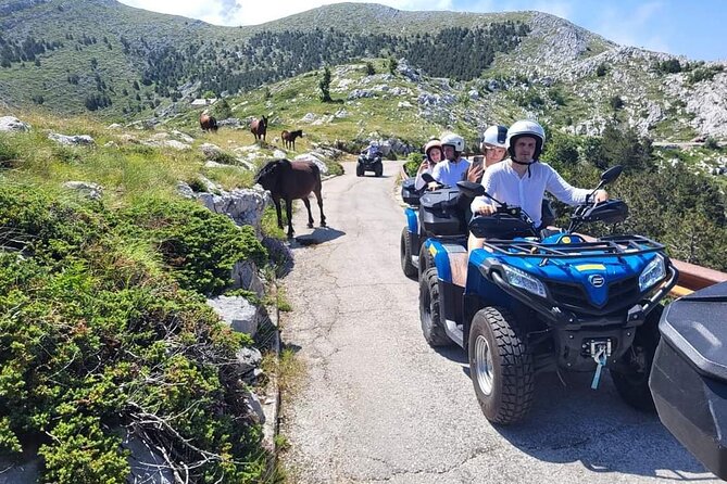Skywalk Biokovo ATV Quad Tour - What this ATV quad and Skywalk day is really like