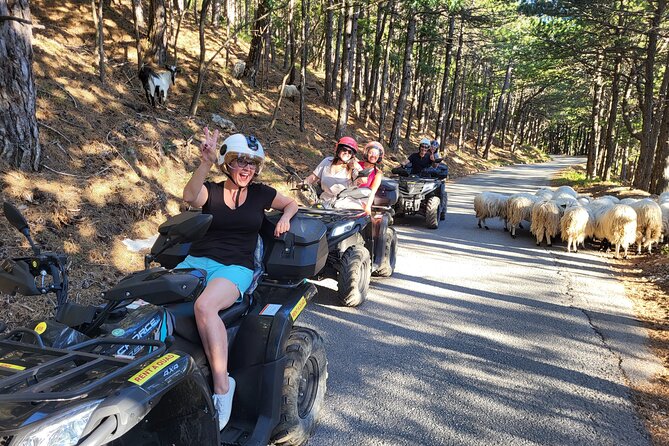 Skywalk Biokovo ATV Quad Tour - The Biokovo Nature Park arrival, where the views start early