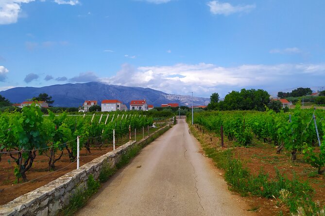 Slurp of Grk Korcula Wine Tour | Wine Tasting in Lumbarda - Should you book the Slurp of Grk Korčula Wine Tour in Lumbarda?