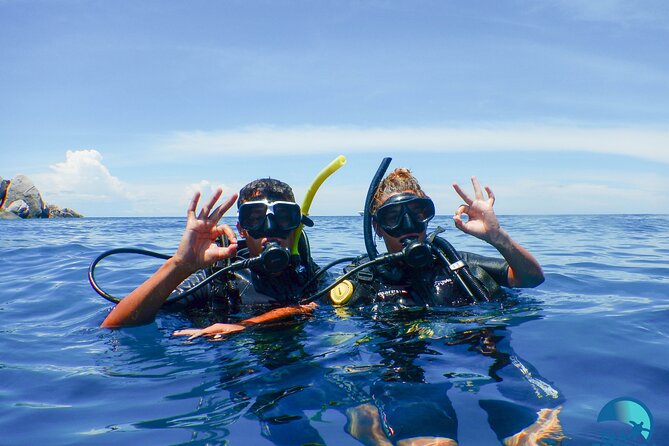 Small-Group Introductory Scuba Diving in Pula - Key things to know before you go