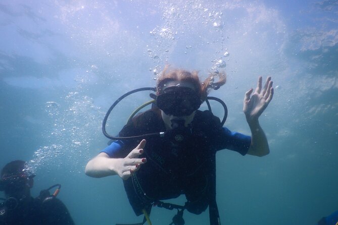 Small-Group Introductory Scuba Diving in Pula - The 30-minute coastal underwater session, what you can realistically expect