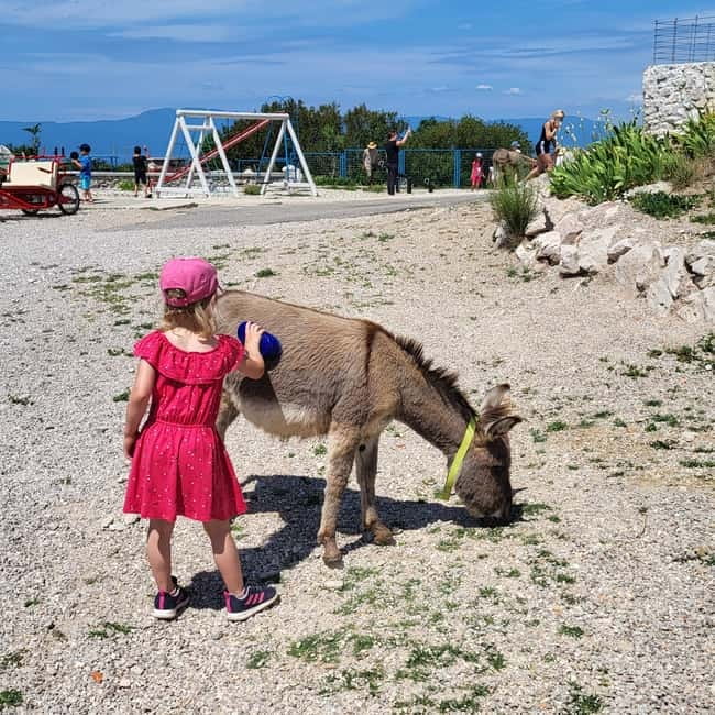 Šmrika (near Rijeka/Krk/Crikvenica) Donkey Farm Family Fun - Feeding, Grooming, and That No-Fence Feeling