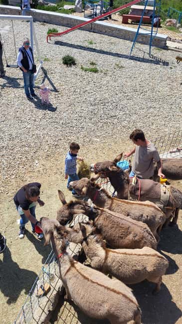 Šmrika (near Rijeka/Krk/Crikvenica) Donkey Farm Family Fun - The Farm Walk: Pastures, Ancient Water Reservoirs, and Other Animals