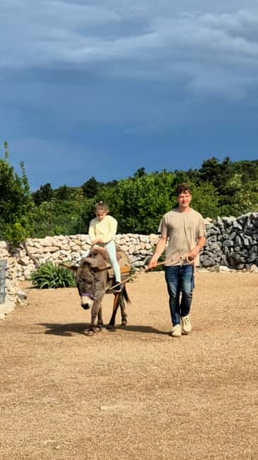 Šmrika (near Rijeka/Krk/Crikvenica) Donkey Farm Family Fun - Getting There From Rijeka, Krk, and Crikvenica (Clear Route Tips)