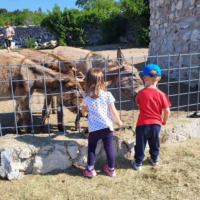 Šmrika (near Rijeka/Krk/Crikvenica) Donkey Farm Family Fun - Weather, Timing, and Practical Tips That Save You Stress