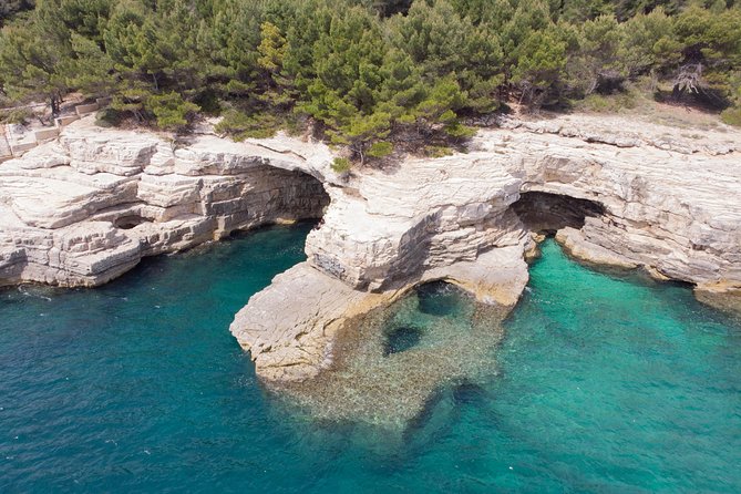 SNORKELING ADVENTURE | Pula Boat - Underwater exploring: what you can realistically look for