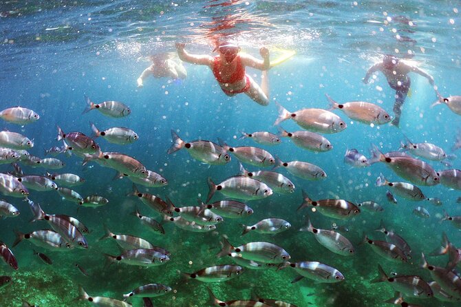 SNORKELING ADVENTURE | Pula Boat - The cruise part: views, snacks, and how the day is paced