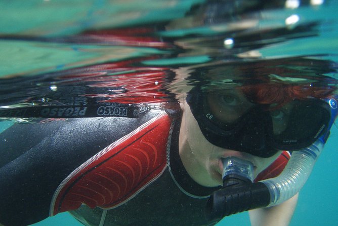 Snorkeling tour Makarska Riviera, islands of Hvar or Brač - The Magic Starts at Tučepi’s Makarska Riviera Meeting Point