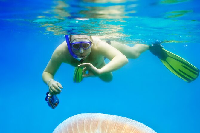 Snorkeling tour Makarska Riviera, islands of Hvar or Brač - Who This Snorkeling Tour Fits Best