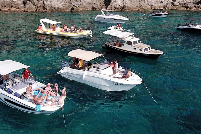 Speed Boat Private Tour From Cavtat/Dubrovnik - Šipan and Vrbova bay, plus the lunch decision at BOWA