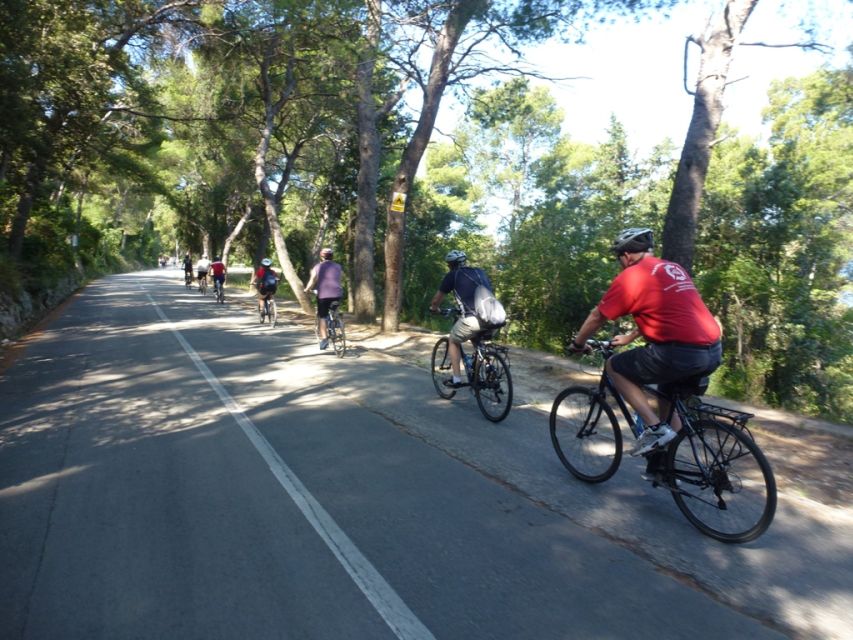 Split 3-Hour Guided Bike Tour - Price and Value: Is $59 a Good Deal for 3 Hours?