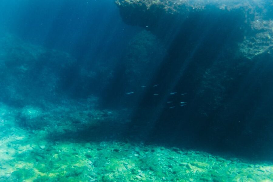 Split: 45-minute Semi-Submersible Submarine Trip - Timing, Possible Delays, and Your Best Practical Plan