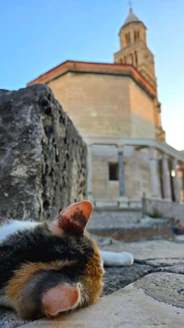 Split and Diocletian's Palace walking tour with a local guid - Key things I’d watch for