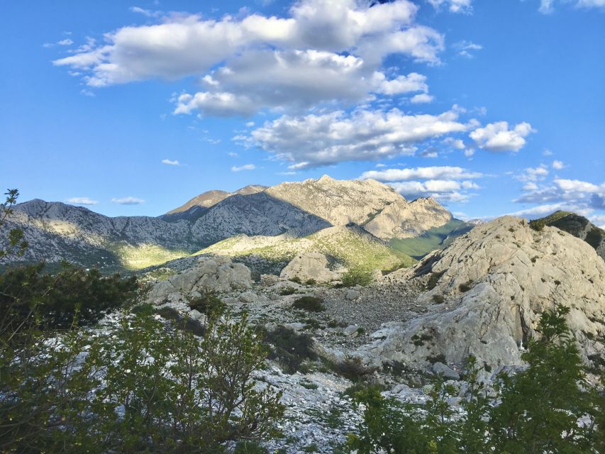 Split: ATV Quad Tour with Waterfall Swimming with Picnic - Price and value: does $94 make sense?