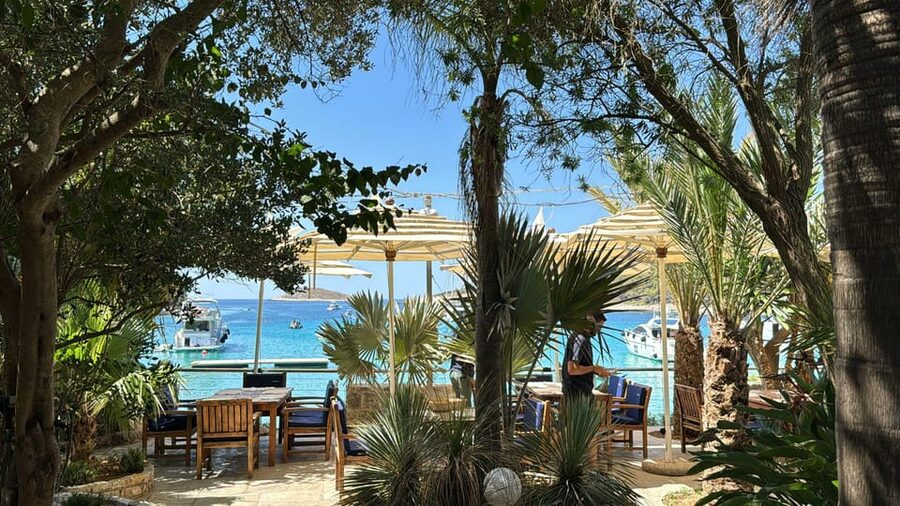 Split: Blue Lagoon, Hvar and 5 Islands Small Group Boat Tour - Price and logistics: what $130 gets you, and what to plan for