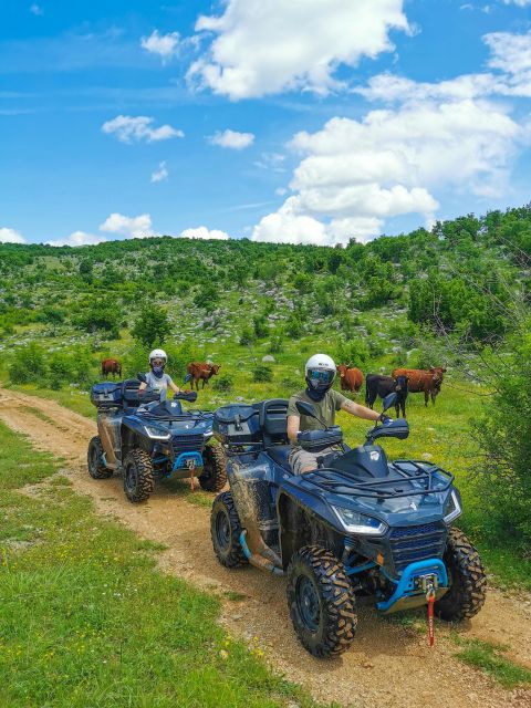 Split: Dalmatian Quad Tour with River Swimming & Picnic - From Split to Base Camp: Timing and Transfers