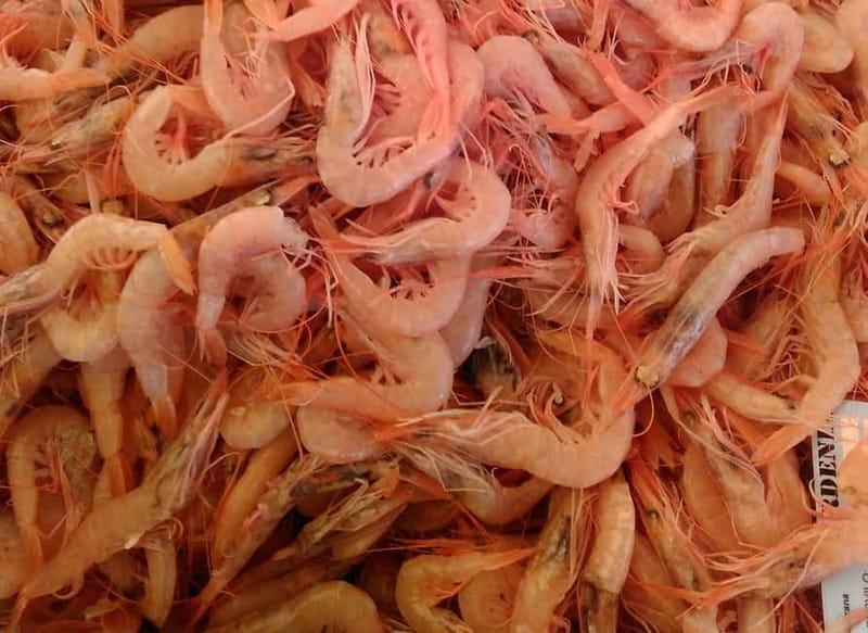Split: Food Tasting Walking Tour - Value check: what $51 buys you in 2 hours