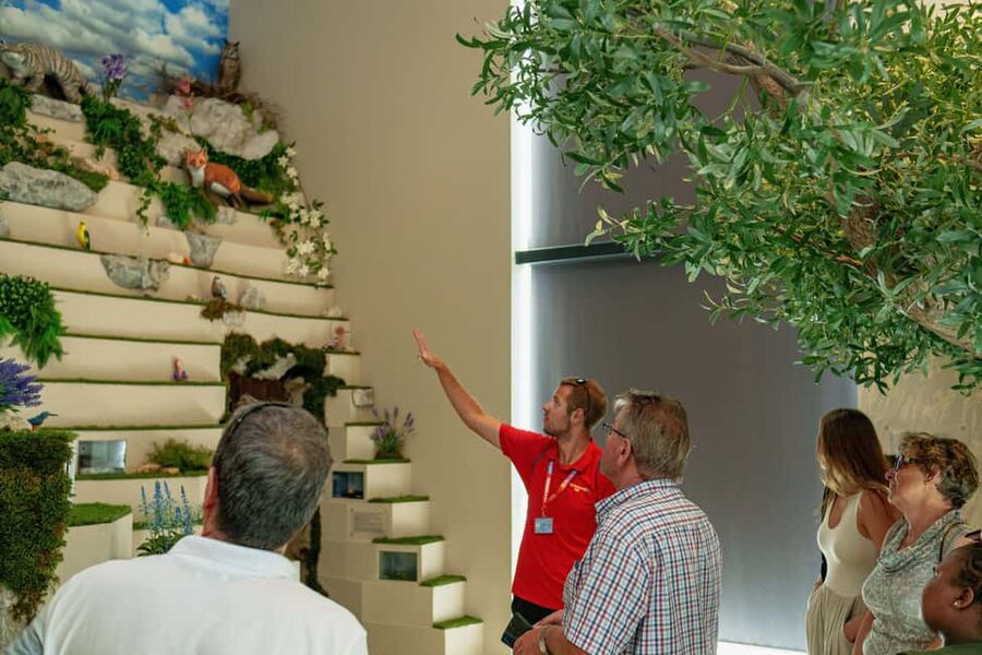 Split: Historical Tour of Salona, Klis Fortress and Trogir - Who this tour suits best