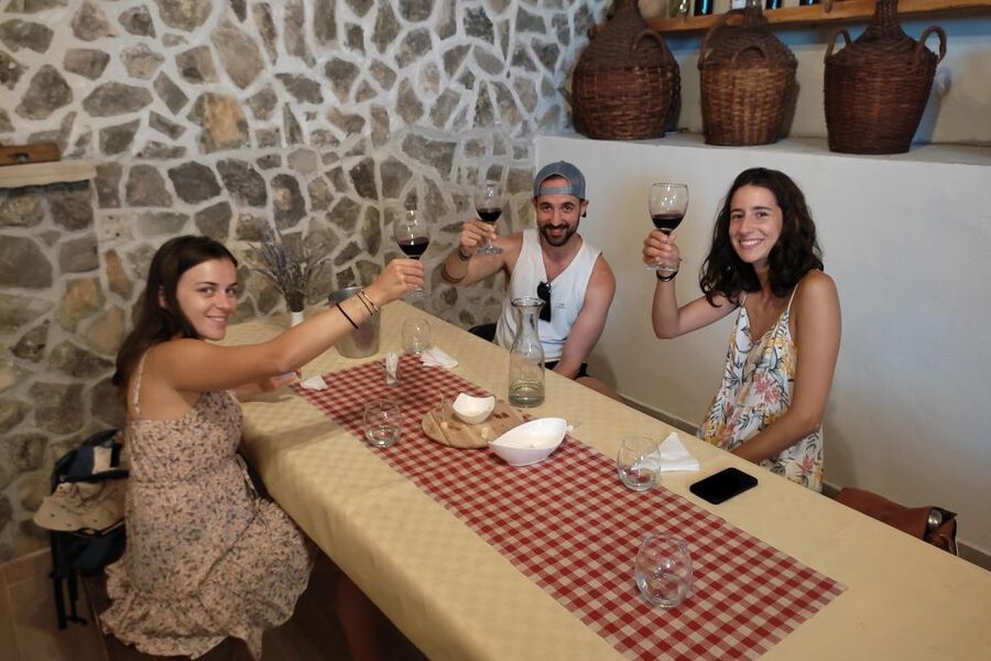 Split: Krka National Park Full-Day Tour with Wine Tasting - Skradin break time and swimming: when the heat stops winning