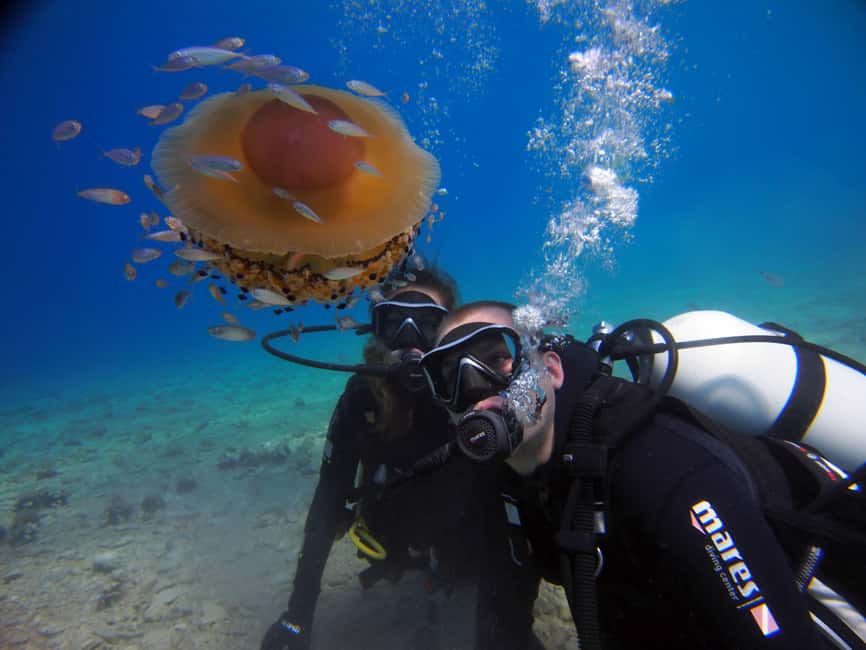 Split-Makarska-Brela Try SCUBA Dive - Minimum 45 Minutes Underwater: The Biggest Quality Upgrade