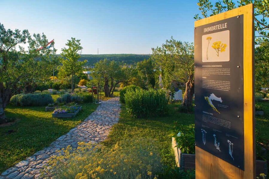 Split: Olive museum Klis with Olive Oil Tasting - Walking the 500-Species Botanical Collection