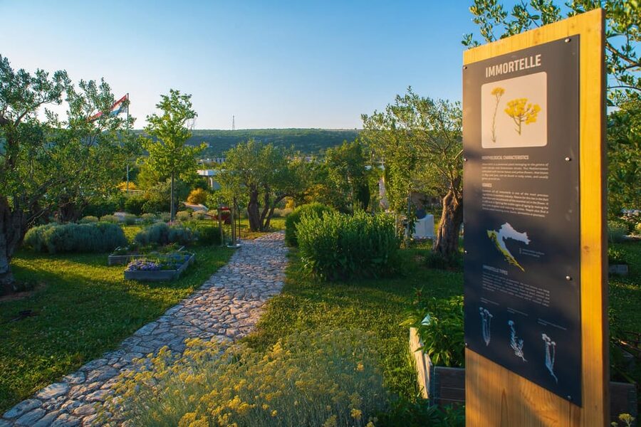 Split: Olive museum Klis with Olive Oil Tasting - The Family Estate Tour: From Traditional Products to Essential Oils