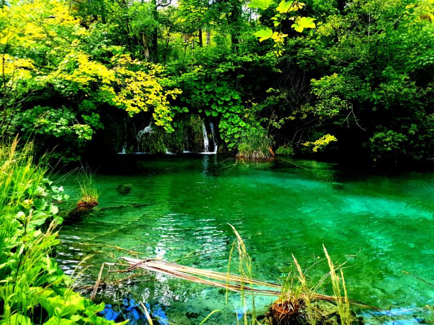 Split: Plitvice Lakes Guided Day Tour with Entry Tickets - Pacing and timing: a 5-hour guided park visit that feels full