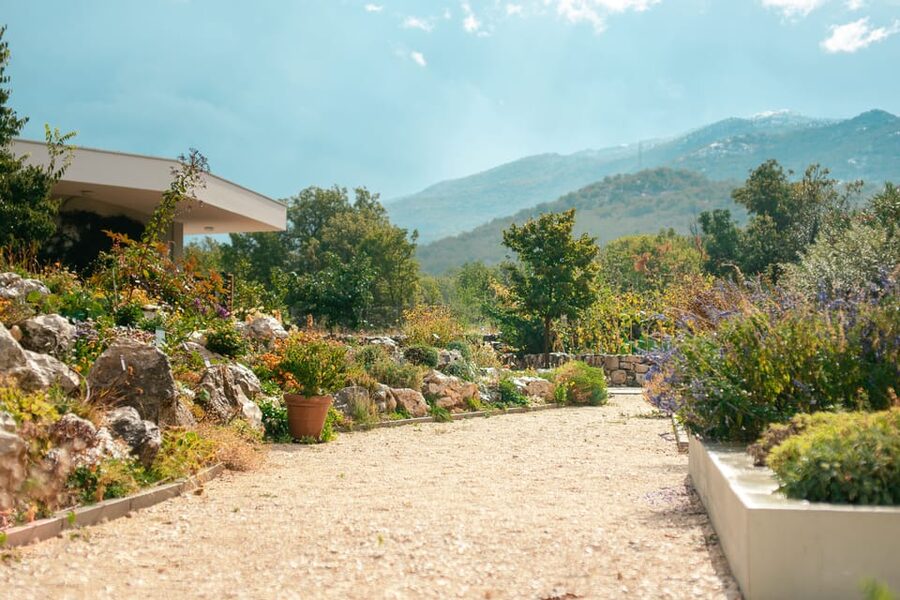Split: Private tour to Klis Fortress and Vranjača cave - Stella Croatica: Olive Culture, Plant-Based Products, and Tastings