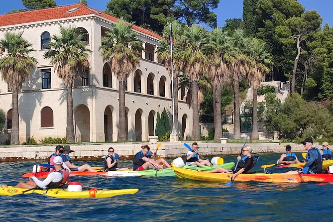 Split Sea Kayaking & Snorkeling Tour - Snorkeling and swim breaks with real sea life