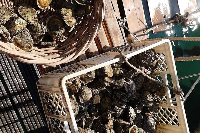 Ston Gastro Tour - Guide Energy: Dino and the Extra Context That Makes It Feel Local