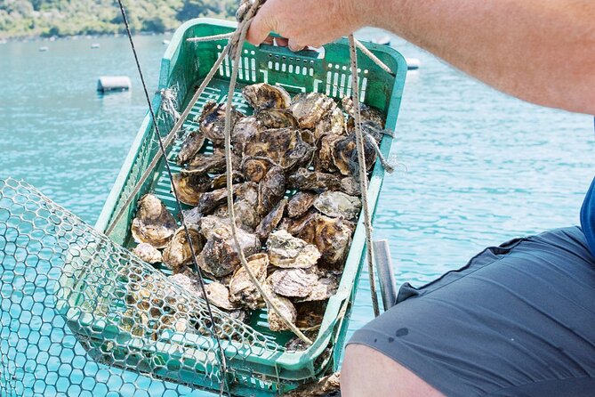 Ston Gastro Tour - Who Should Book This Tour (and Who Might Want a Different Plan)