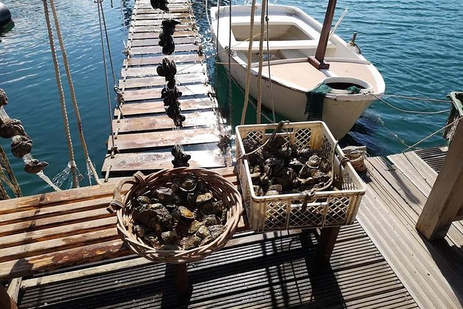 Ston Gastro Tour - Practical Tips Before You Go