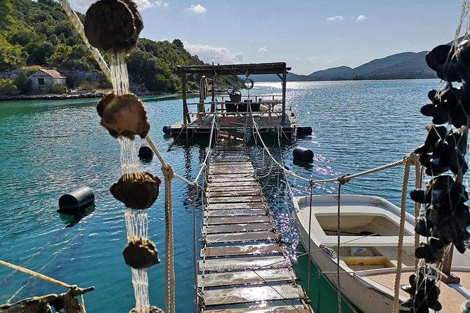Ston Gastro Tour - Mali Ston: Oyster Farms, a Boat Ride, and Wine Pairing
