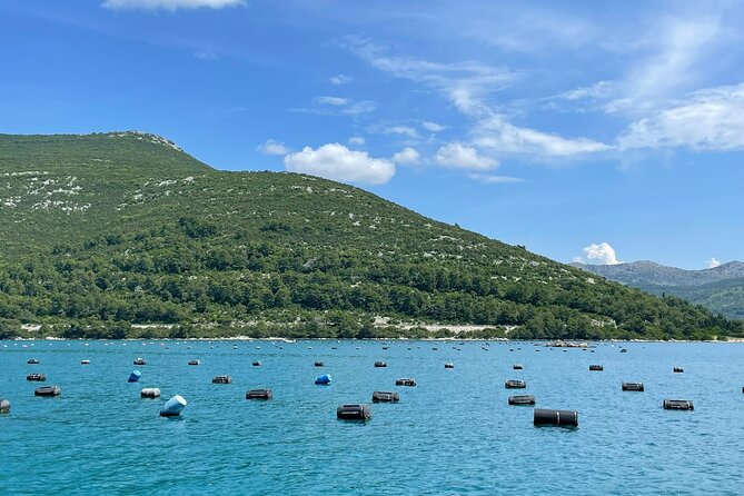 Ston Seafood & Pelješa Wine Boat Tour with Oysters and Mussels - What’s included, and how that affects the price you pay