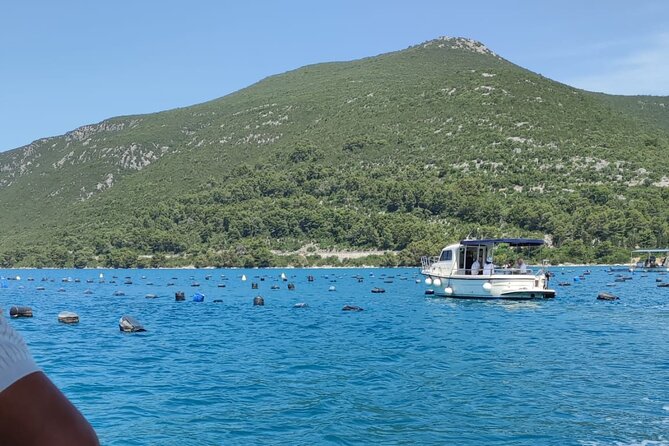 Ston Seafood & Pelješa Wine Boat Tour with Oysters and Mussels - Food and wine expectations: how the meals are served and why that matters