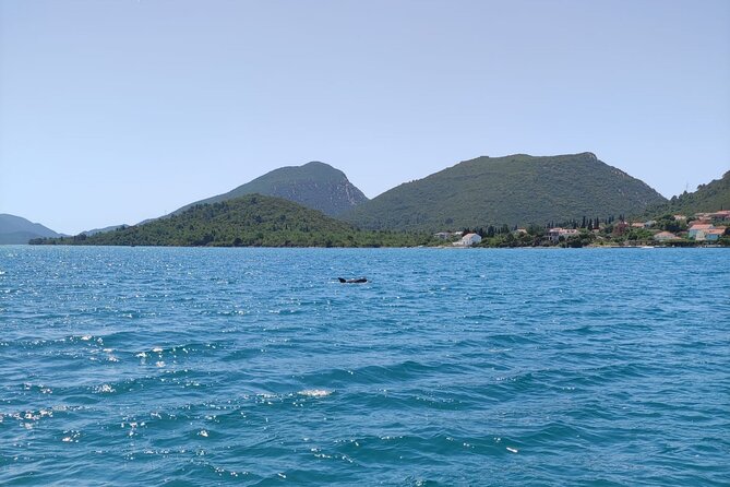 Ston Seafood & Pelješa Wine Boat Tour with Oysters and Mussels - Who this tour is best for, and who might pass